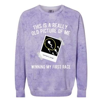 Really Old Picture Of Me First Race Funny Saying Gag Gift Colorblast Crewneck Sweatshirt