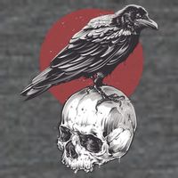 Raven On Skull Poster