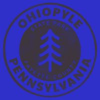 Retro Ohiopyle State Park Pennsylvania Souvenir Design Meaningful Gift Toddler T-Shirt