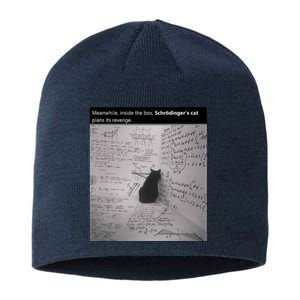 Revenge Of Schrodinger&X27;S Cat! Sustainable Beanie