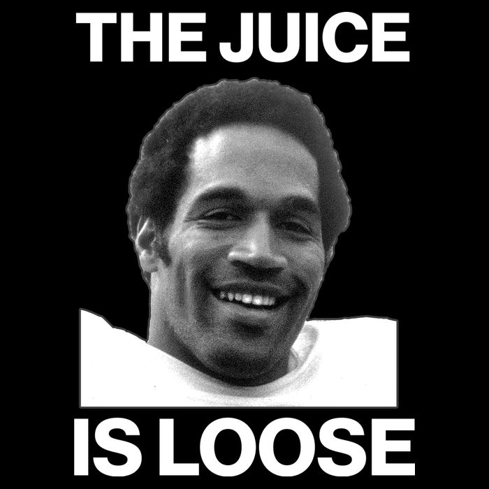 Rip Oj Simpson The Juice Is Loose Women's V-Neck T-Shirt