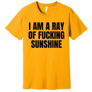 Ray Of Sunshine Premium T-Shirt