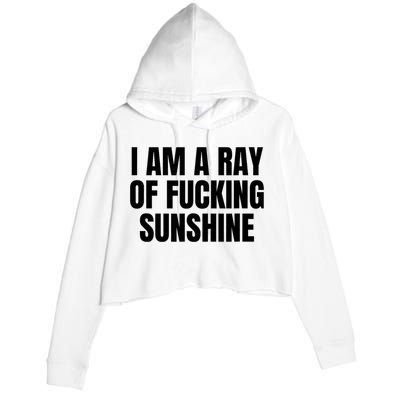 Ray Of Sunshine Crop Fleece Hoodie