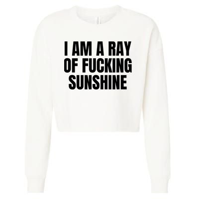 Ray Of Sunshine Cropped Pullover Crew