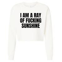 Ray Of Sunshine Cropped Pullover Crew
