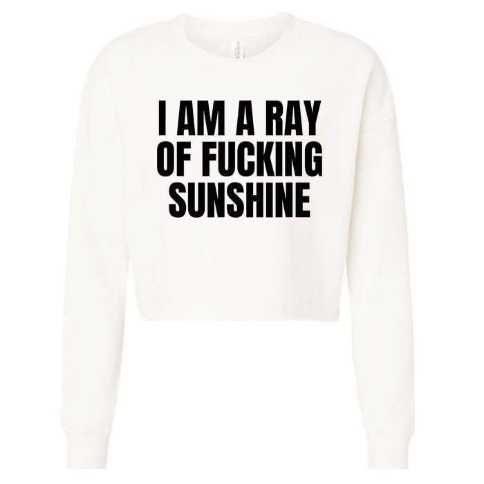 Ray Of Sunshine Cropped Pullover Crew