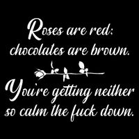 Rose Are Red Chocolates Are Brown USA-Made Doggie Bandana