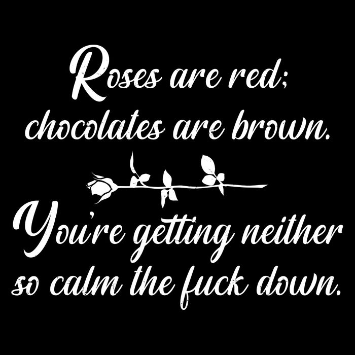 Rose Are Red Chocolates Are Brown USA-Made Doggie Bandana