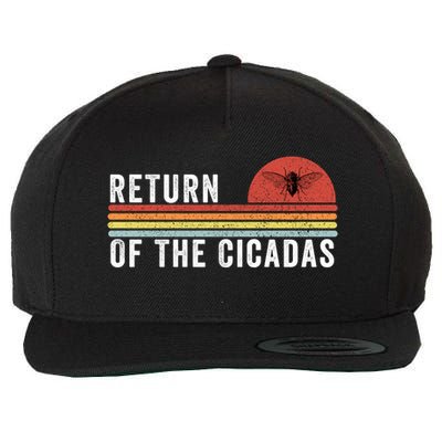 Return Of The Cicadas Funny Cicada Nature Lover Cicada Emergence Cicada Lover Wool Snapback Cap
