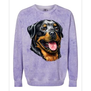 Rottweiler Face Colorblast Crewneck Sweatshirt