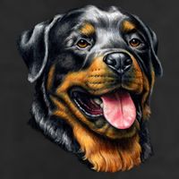 Rottweiler Face 7 Panel Mesh Trucker Snapback Hat