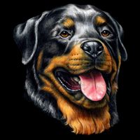 Rottweiler Face Drawstring Bag