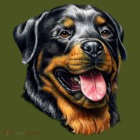Rottweiler Face T-Shirt