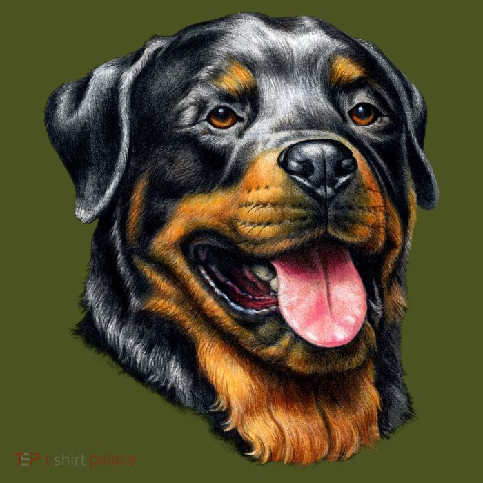 Rottweiler Face T-Shirt