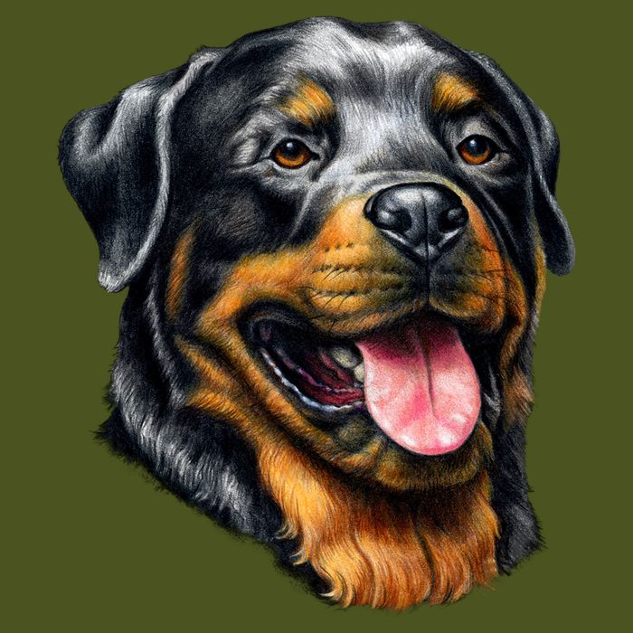 Rottweiler Face Backpack