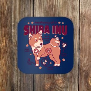 Red Panda Anatomy Coaster