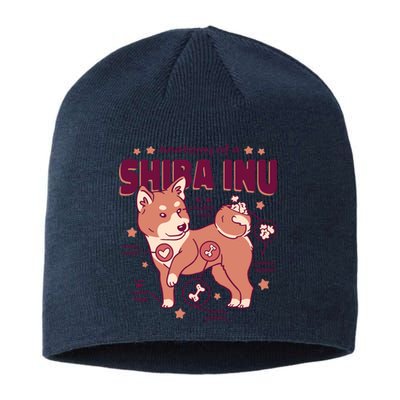 Red Panda Anatomy Sustainable Beanie