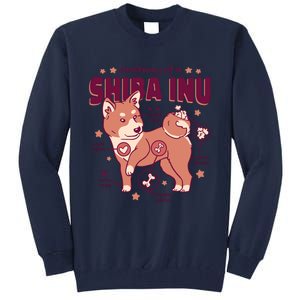 Red Panda Anatomy Tall Sweatshirt