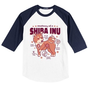 Red Panda Anatomy Baseball Sleeve Shirt