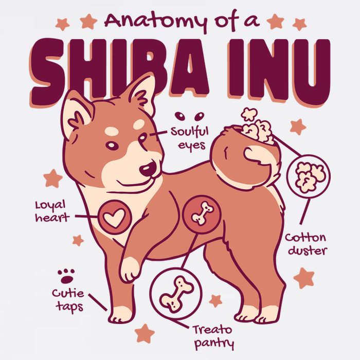Red Panda Anatomy Performance Shirt