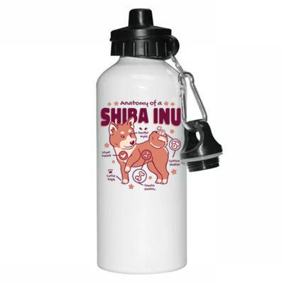 Red Panda Anatomy Aluminum Water Bottle