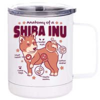 Red Panda Anatomy 12 oz Stainless Steel Tumbler Cup