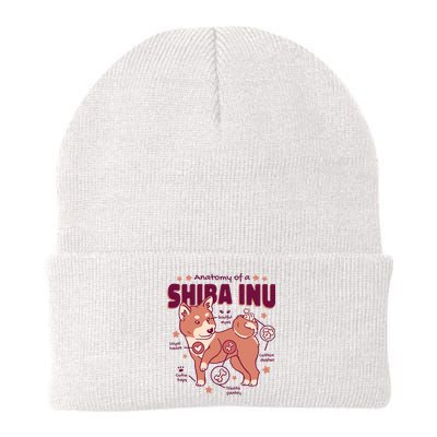 Red Panda Anatomy Knit Cap Winter Beanie