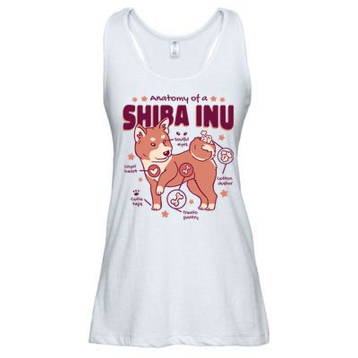 Red Panda Anatomy Ladies Essential Flowy Tank