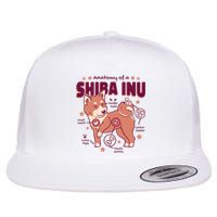 Red Panda Anatomy Flat Bill Trucker Hat