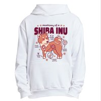 Red Panda Anatomy Urban Pullover Hoodie