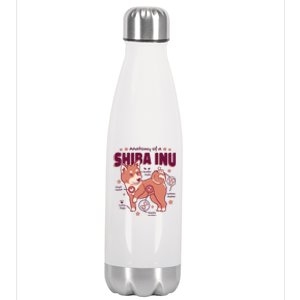 Red Panda Anatomy Stainless Steel Insulated Water Bottle