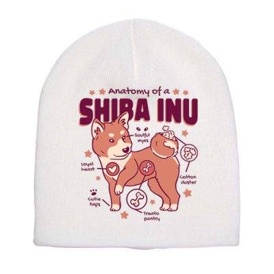 Red Panda Anatomy Short Acrylic Beanie