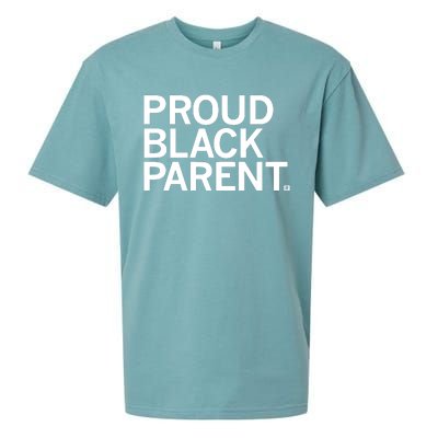 Raygun Proud Black Parent Sueded Cloud Jersey T-Shirt