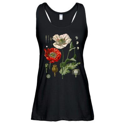 Red Poppy Botanical Poppies Red Poppy Ladies Essential Flowy Tank