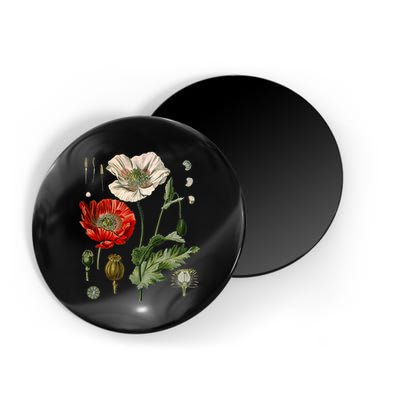 Red Poppy Botanical Poppies Red Poppy Magnet