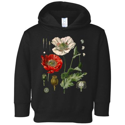 Red Poppy Botanical Poppies Red Poppy Toddler Hoodie