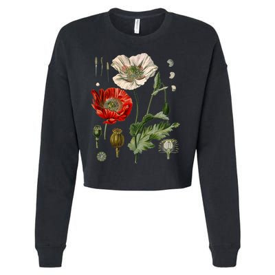 Red Poppy Botanical Poppies Red Poppy Cropped Pullover Crew