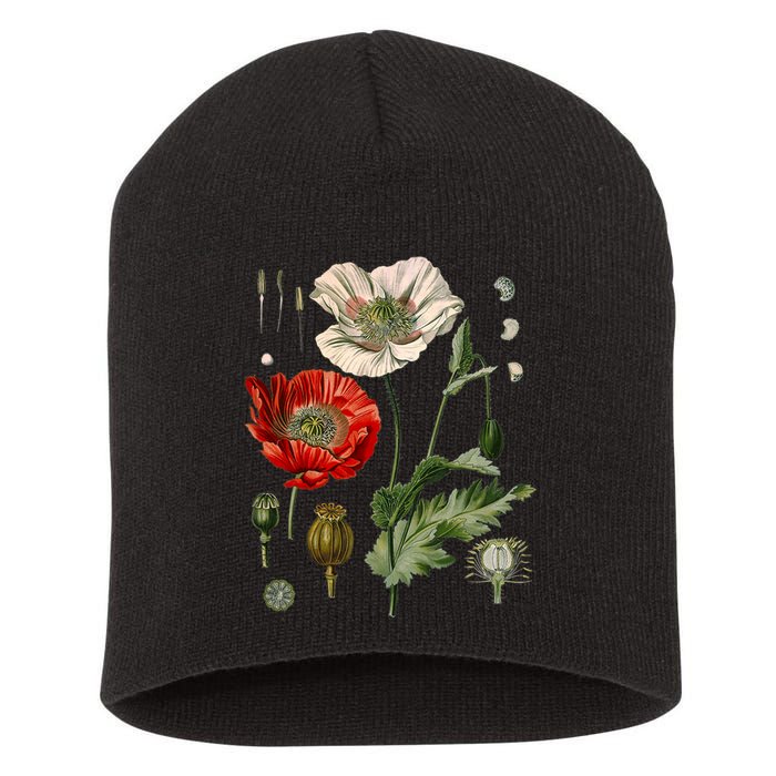 Red Poppy Botanical Poppies Red Poppy Short Acrylic Beanie