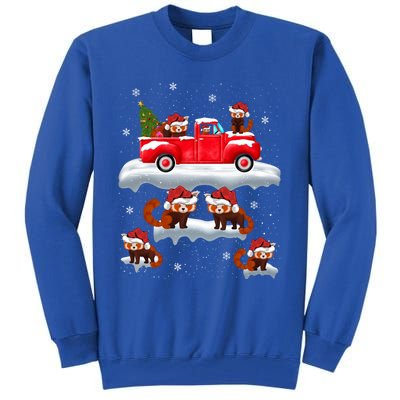 Red Panda Driving Christmas Tree Truck Red Panda Christmas Gift Tall Sweatshirt