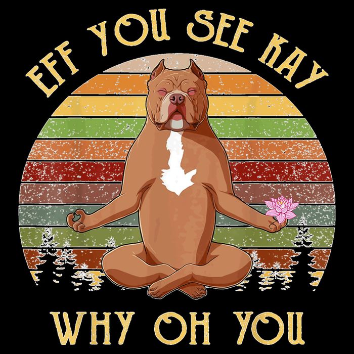 Retro Pitbull Dog Yoga Eff You See Kay Why Oh You Wool Snapback Cap