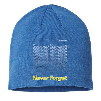 Repeating Pattern Design Styles With Never Forget Funny Gift Sustainable Beanie