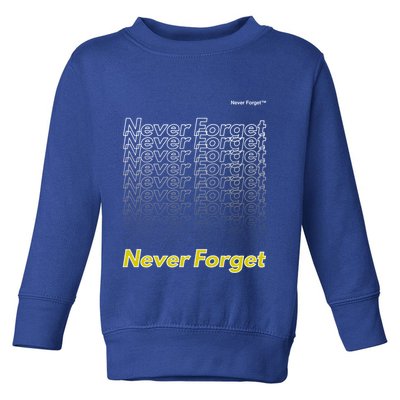 Repeating Pattern Design Styles With Never Forget Funny Gift Toddler Sweatshirt