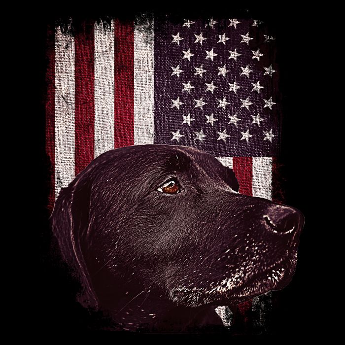 Realistic Patriotic Dog Portrait With USA Flag Backdrop 16 in Basic Backpack