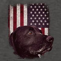Realistic Patriotic Dog Portrait With USA Flag Backdrop Vector Backpack