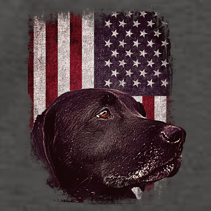 Realistic Patriotic Dog Portrait With USA Flag Backdrop Vector Backpack