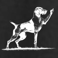 Rude Pointer Dog Asshole German Shorthaired Pointer Dog Adult Drive Performance Visor