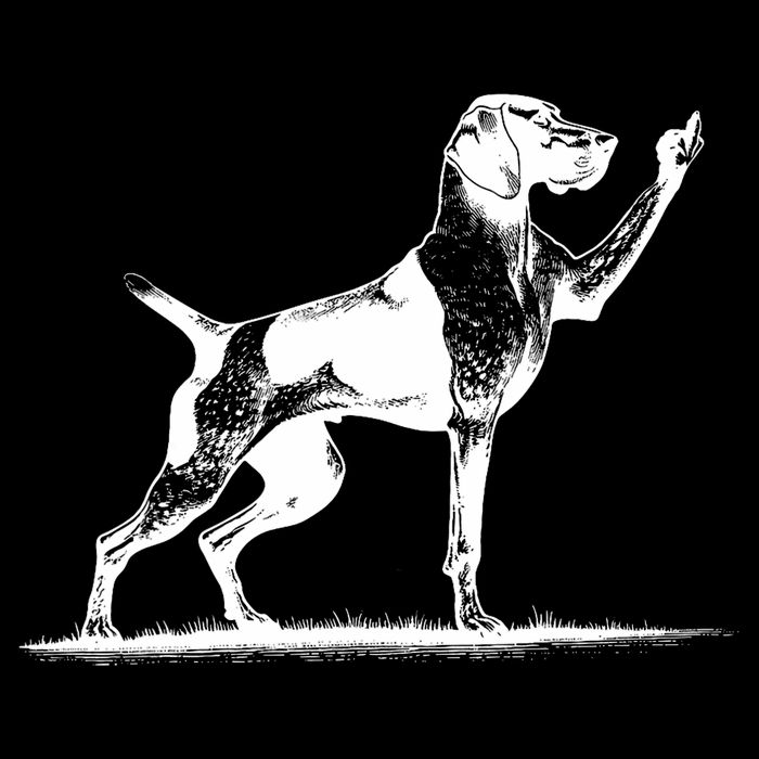 Rude Pointer Dog Asshole German Shorthaired Pointer Dog Mousepad