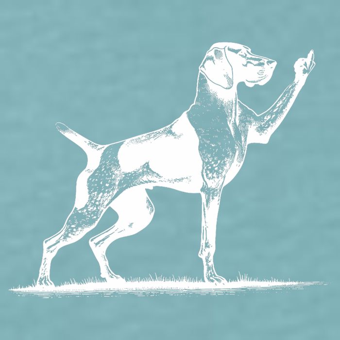 Rude Pointer Dog Asshole German Shorthaired Pointer Dog Sueded Cloud Jersey T-Shirt