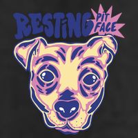 Resting Pit Face Funny Pit Bull Dog 7 Panel Mesh Trucker Snapback Hat