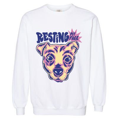 Resting Pit Face Funny Pit Bull Dog Garment-Dyed Sweatshirt